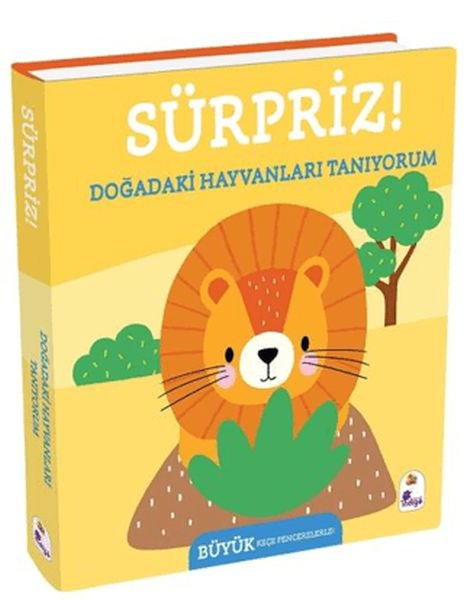 Sürpriz! - Doğadaki Hayvanları Tanıyorum