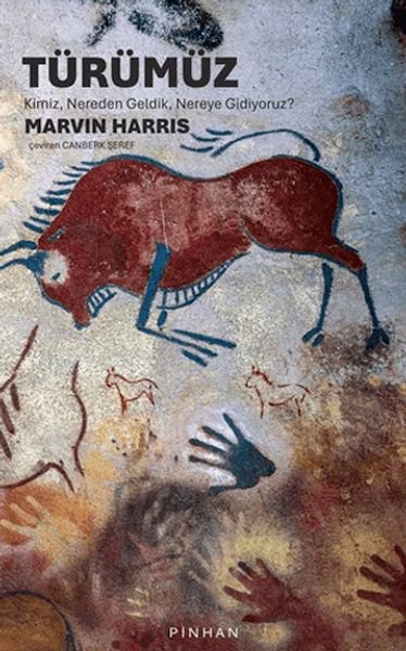 Türümüz: Kimiz, Nereden Geldik, Nereye Gidiyoruz?