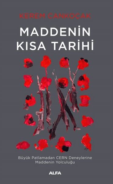 Maddenin Kısa Tarihi