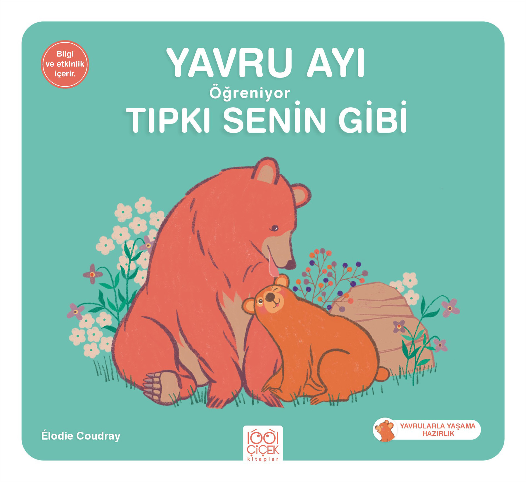 Yavru Ayı Öğreniyor Tıpkı Senin Gibi