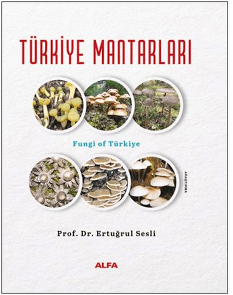 Türkiye Mantarları (Ciltli)