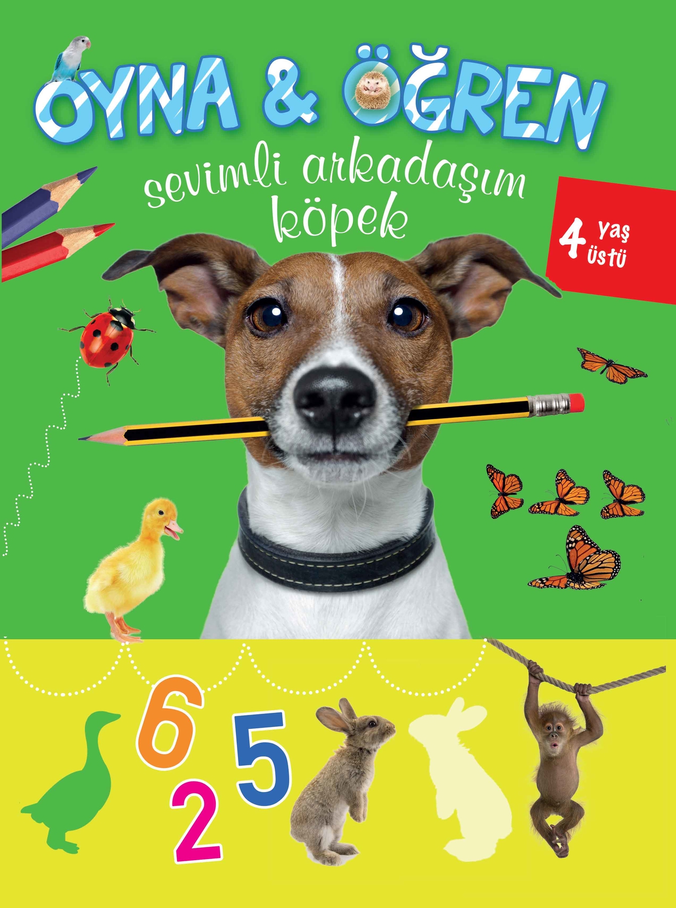 Oyna Öğren Sevimli Arkadaşım Köpek 4 Yaş Üstü