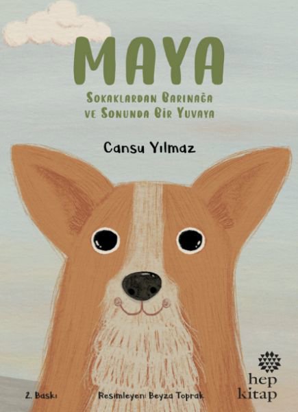 Maya - Sokaklardan Barınağa ve Sonunda Bir Yuvaya