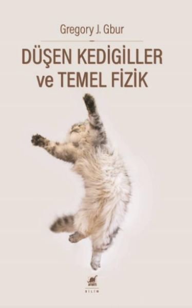 Du¨şen Kedigiller ve Temel Fizik