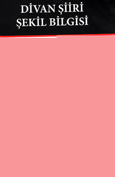 Divan Şiiri Şekil Bilgisi