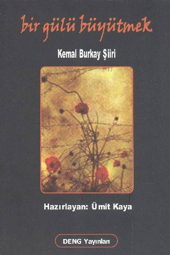 Bir Gülü Büyütmek