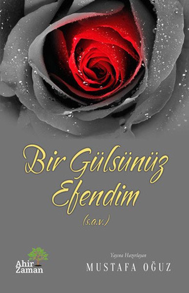 Bir Gülsünüz Efendim (s.a.v.)