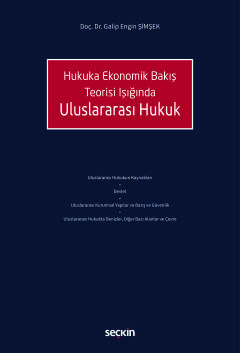 Hukuka Ekonomik Bakış Teorisi IşığındaUluslararası Hukuk
