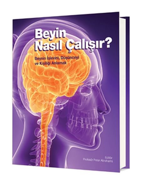 Beyin Nasıl Çalışır? (Ciltli)