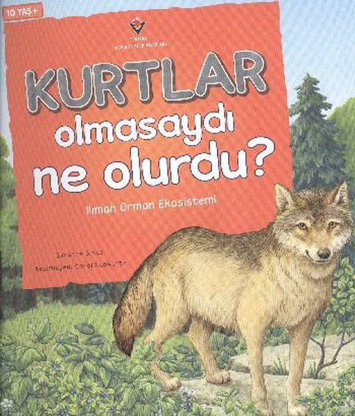 Kurtlar Olmasaydı Ne Olurdu? - Besin Zinciri Tepkimeleri