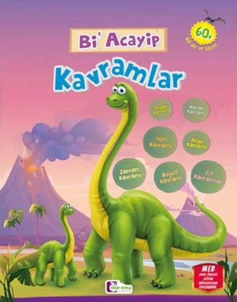 Bi Acayip Kavramlar