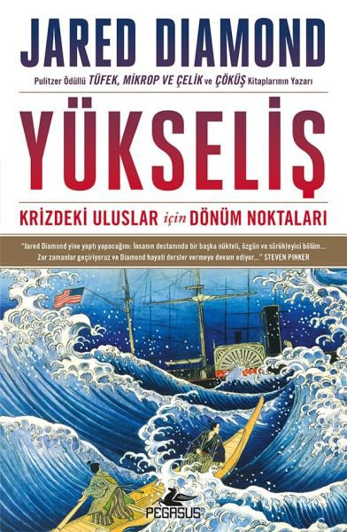 Yükseliş: Krizdeki Uluslar İçin Dönüm Noktaları - Ciltli