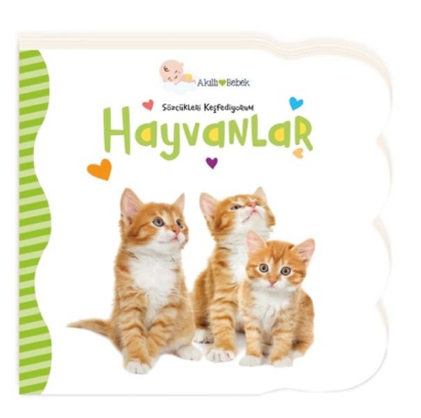 Hayvanlar - Sözcükleri Keşfediyorum