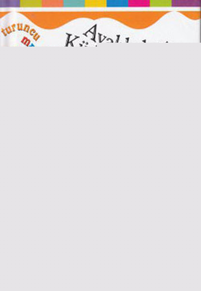 Turuncu Masallar Ayakkabıcı ve Küçük Cinler (Ciltli)