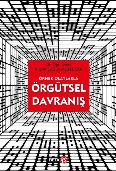 Örnek Olaylarla Örgütsel Davranış