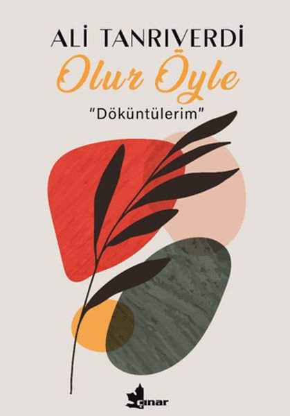 Olur Öyle