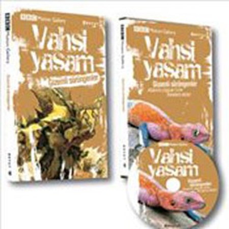 Vahşi Yaşam Gizemli Sürüngenler Dvd Ekli