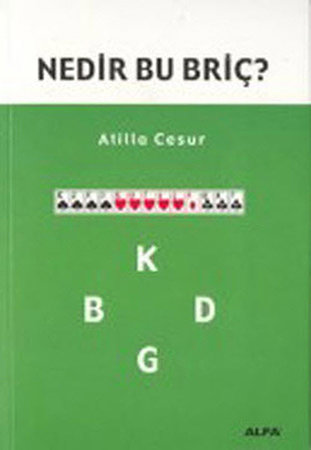 Nedir Bu Briç?