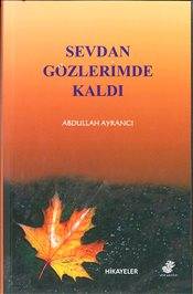 Sevdan Gözlerimde Kaldı