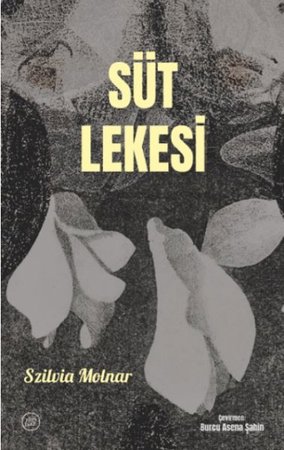 Süt Lekesi
