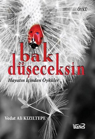 Bak Düşeceksin Hayatın İçinden Öyküler