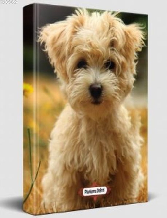 Neşeli Yüz - Planlama Defteri