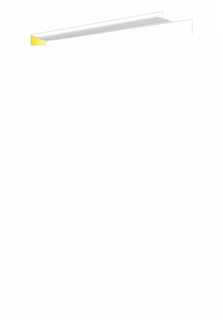 Dijital Reklamcılık ve Gençlik