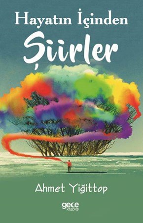 Hayatın İçinden Şiirler