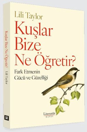 Kuşlar Bize Ne Öğretir?