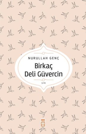 Birkaç Deli Güvercin