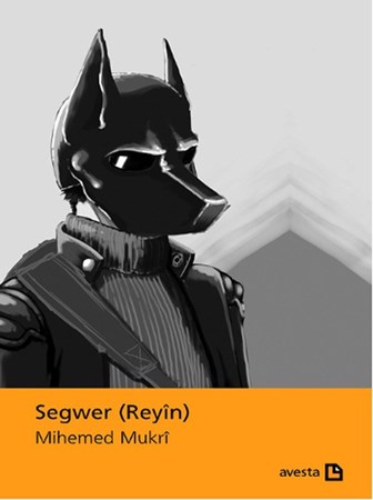 Segwer Reyin