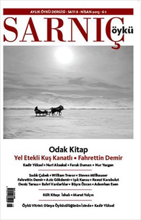 Sarnıç Öykü Dergisi Sayı 8