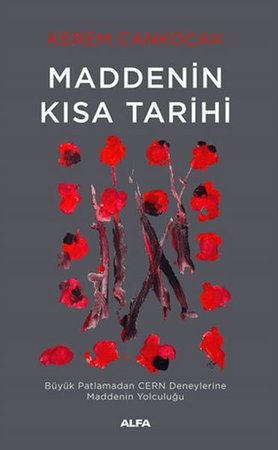 Maddenin Kısa Tarihi