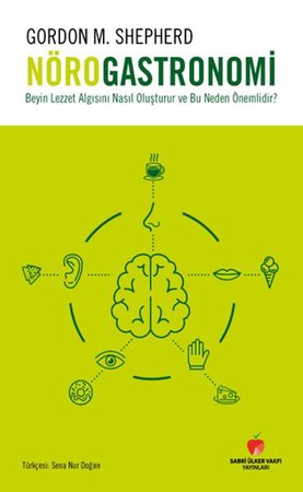 Beyin Lezzet Algısını Nasıl Oluşturur ve Bu Neden Önemlidir?