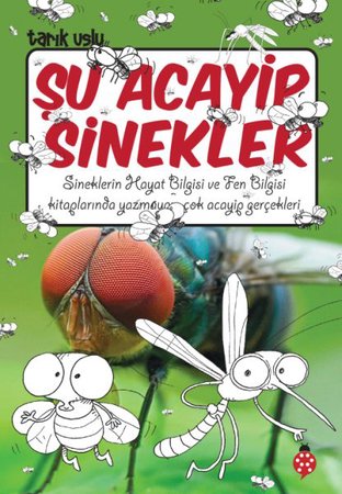 Şu Acayip Sinekler