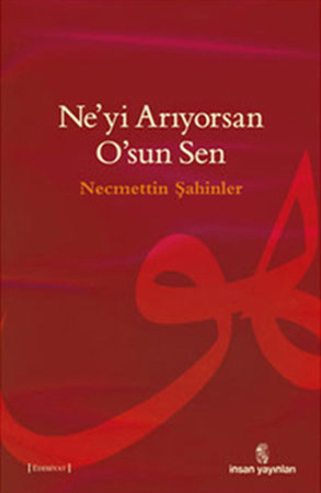 Ne'yi Arıyorsan O'sun Sen