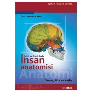 Şekil Ve Tablolarla İnsan Anatomisi Damar, Sinir Ve Kaslar