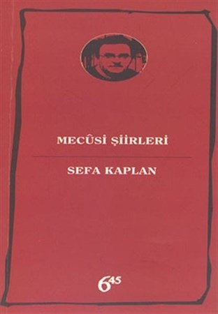 Mecusi Şiirleri