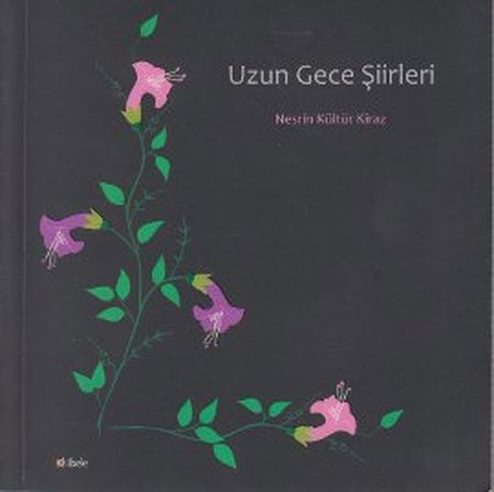 Uzun Gece Şiirleri