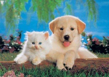 Cat And Dog Puzzle 200 Parça 11026