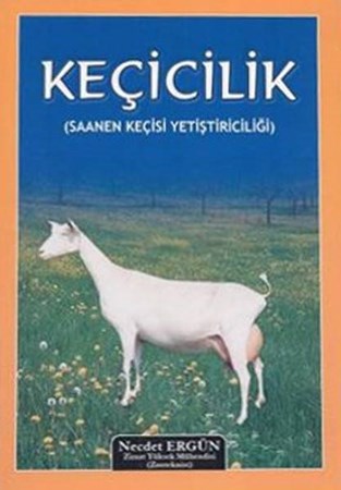 Keçicilik Saanen Keçisi Yetiştiriciliği
