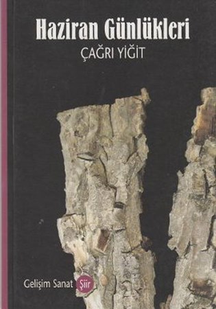 Haziran Günlükleri