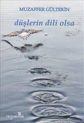 Düşlerin Dili Olsa