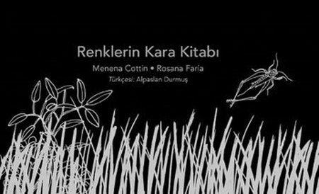 Renklerin Kara Kitabı