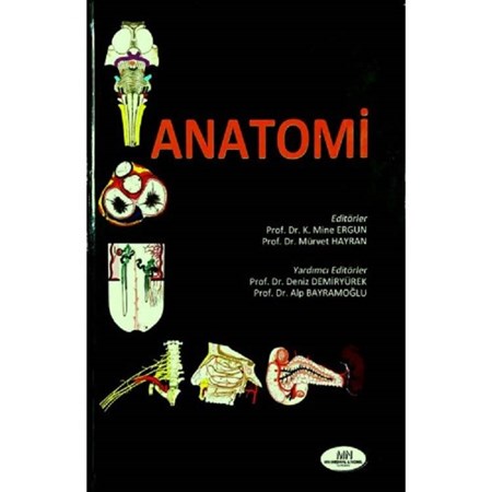 Anatomi