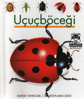Uçuçböceği İlk Kitaplarım Dizisi