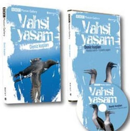 Vahşi Yaşam Deniz Kuşları Dvd Ekli