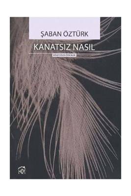 Kanatsız Nasıl