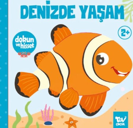 Dokun ve Hisset Denizde Yaşam