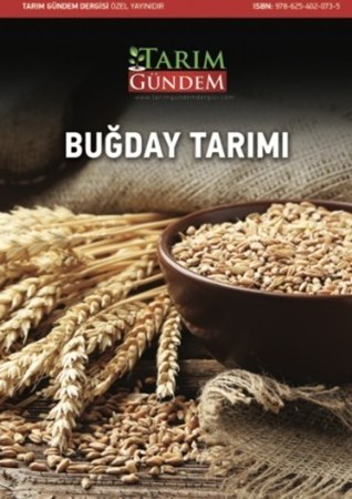 Buğday Tarımı